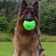 Robuster Hundeball aus Kunstleder FDT 15 cm