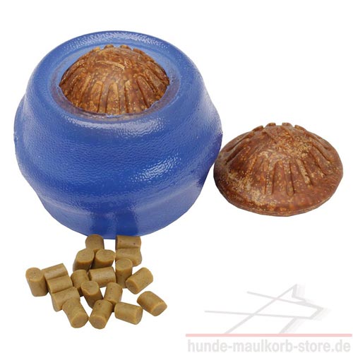 Dog ball
