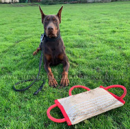 Jute Beißwulst Top Qualität für Dobermann