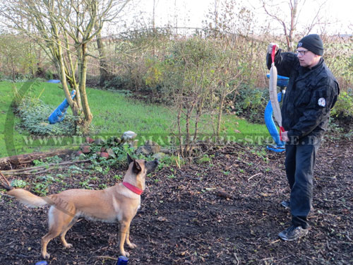 Jute Bringsel für große Hunde