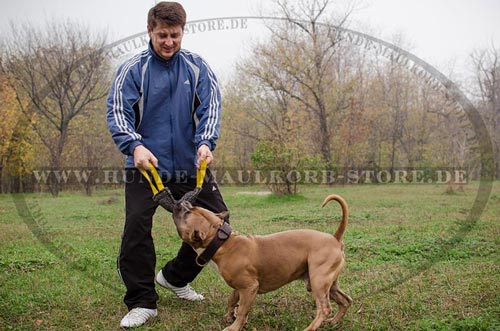 Hundetraining Beisswurst