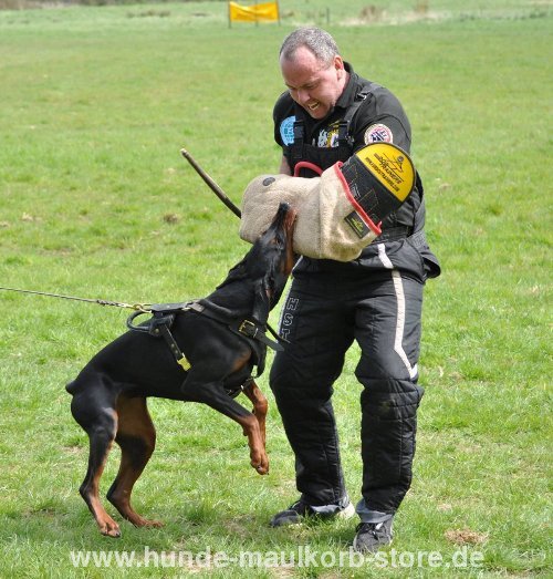 K9 Sleeve for Doberman Training