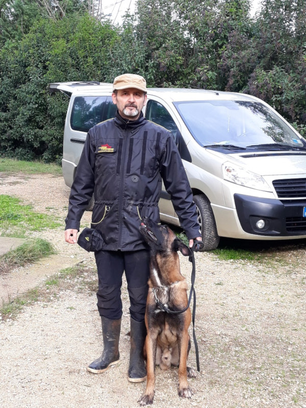 Hundesportwesten kaufen