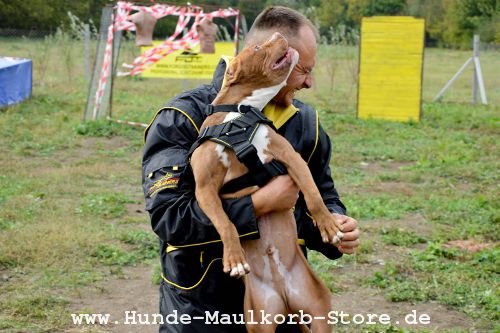 Fordogtrainers Schutz Verkleidung