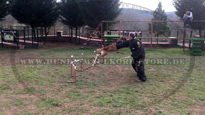 Trainingsanzug online kaufen