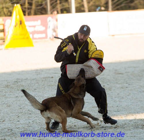 K9 Stab für Hundeausbildung