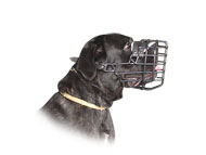 Basket Dog Muzzle, covered by black rubber for Cane-corso