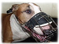 Wire Basket Dog Muzzle for Bull Terrier