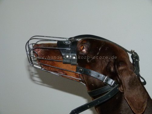 Doberman Dog Muzzle M4