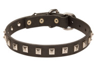 Neues Hundehalsband aus Leder mit quadratischen Nieten