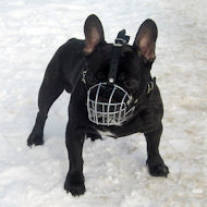 Maulkorb für Französische Bulldogge, Boston Terrier
Beisskorb
