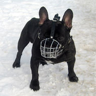 Wire Basket Dog Muzzle for French Bulldog, Cage Muzzle