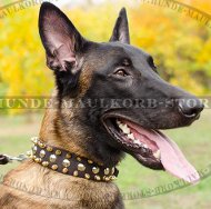 Dog Collar for Malinois of Leather Unique Style!