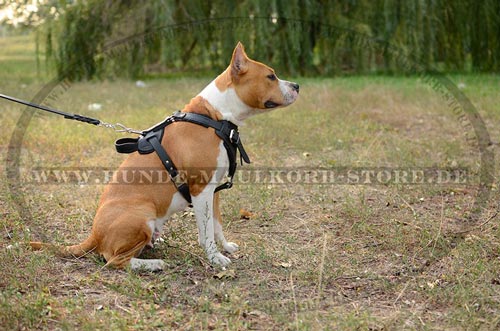 K9 Brustgeschirr mit Handschlaufe für Hetzarbeit und Dienst