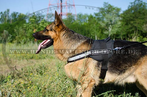 https://www.hunde-maulkorb-store.de/images/harnesses/Brsutgeschirr-reflektierendes-mit-Logos-small.jpg