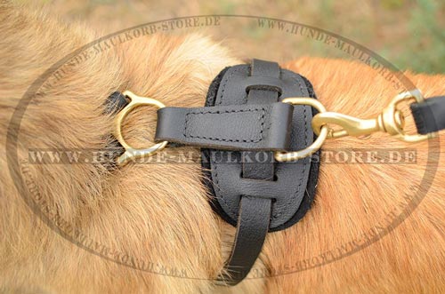 sicheres Hundegeschirr aus Leder