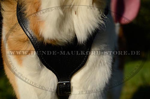 Hundegeschirr super bequm