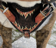 Deisgner Brustgeschirr Leder "Flamme" für Englische Bulldogge