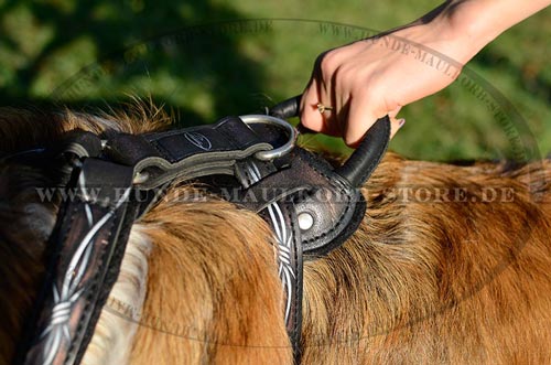  ledernes Brustgeschirr hochqualitativ