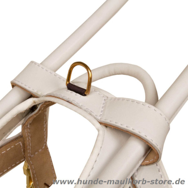 Führhundegeschirr aus weißem Leder kaufen