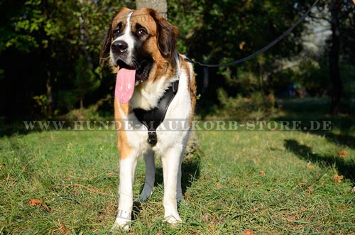 Moskauer Wachhund Hundegeschirr hochwertig 