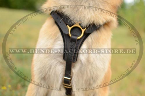 Malinois hochqualitatives Geschirr