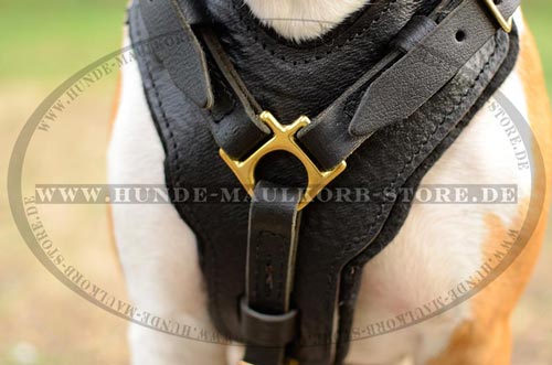 classic leather harness for dogs