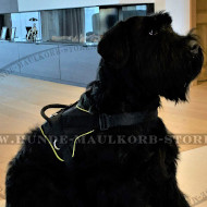 Riesenschnauzer Harness Nylon | K9 Dog Nylon Harness