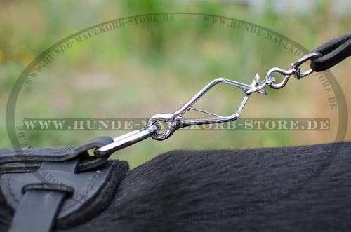 Herrliches Brustgeschirr für Sennenhund bestellen