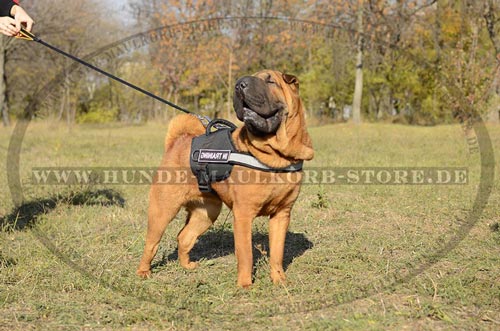 Hundegeschirr Nylon reflektierend SharPei