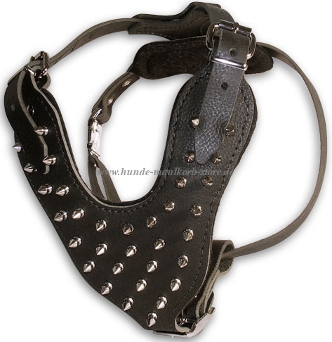 Malinois dog harness padded with silver accessories