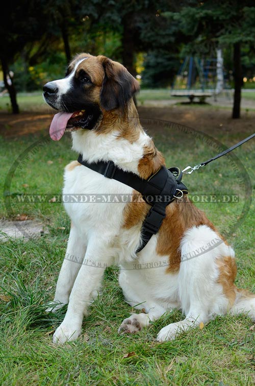 https://www.hunde-maulkorb-store.de/images/harnesses/Sport-Geschirr-aus-sicherem-Nylon-small.jpg