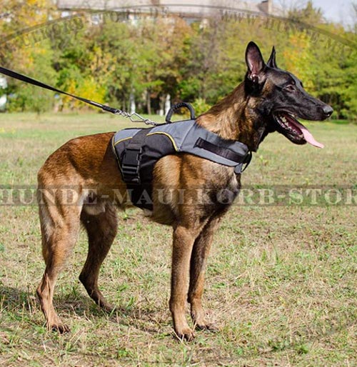 Malinois warmes Tragegeschirr als Mantel