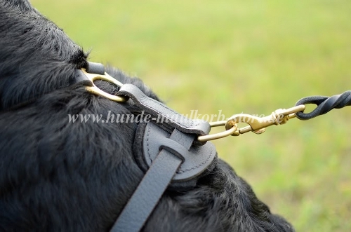 Rottweiler Geschirr für Tracking