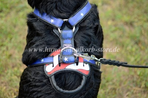 Handgefertigtes Rottweiler Geschirr bestellen