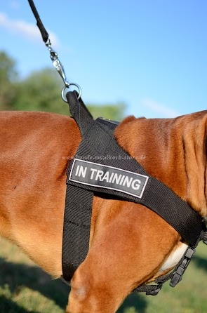 Hundegeschirr Polizei Boxer