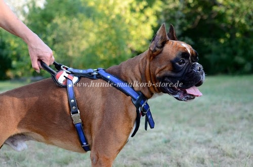 Hand-crafted leather harness with American flag