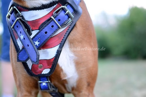 Boxer Ledergeschirr Bemaltes mit der
Hand