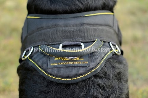 Rottweiler Hundegeschirr Nylon für Training