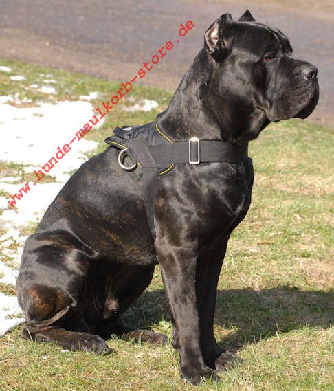 Universelles Nylon Hundegeschirr Cane Corso für Training