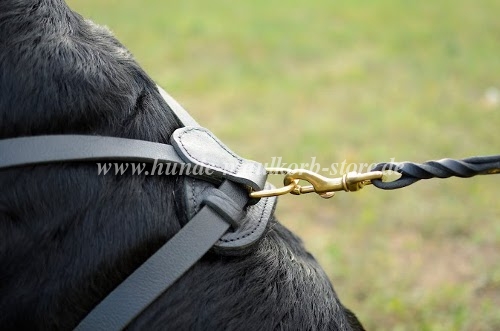 Hundefreundliches Rottweiler Geschirr für Pulling