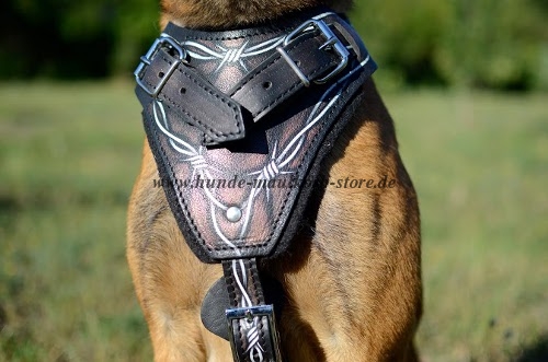 Malinois Ledergegeschirr Bemaltese