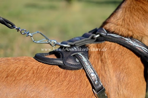 Handgearbeitetes Ledergeschirr mit Stacheldraht Muster