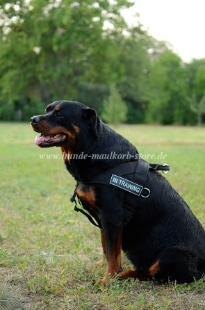 Hundegeschirr Polizei Rottweiler