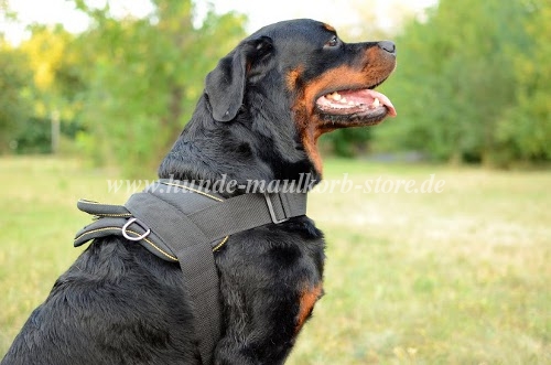 Universelles Nylon Hundegeschirr Rottweiler für Training