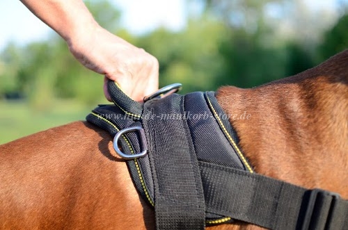 Light
weight dog harness for German Boxer