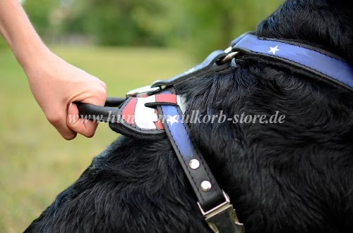 Bemaltes Rottweiler Geschirr Leder bestellen