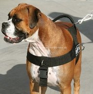 New nylon dog harness - Better control of your Boxer
