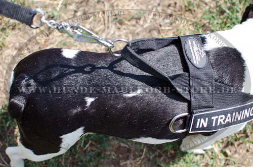 French Bulldog Nylon Harness H17