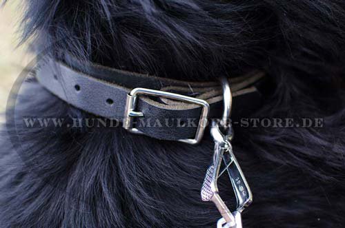 bestes hundehalsband leder Neufundland C1